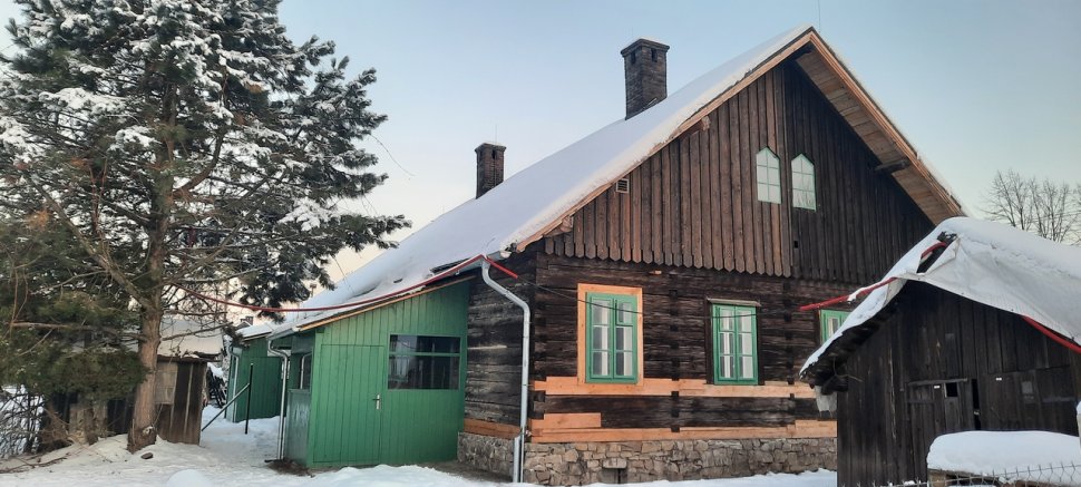 Drzewiónka na Borku w Trzyńcu