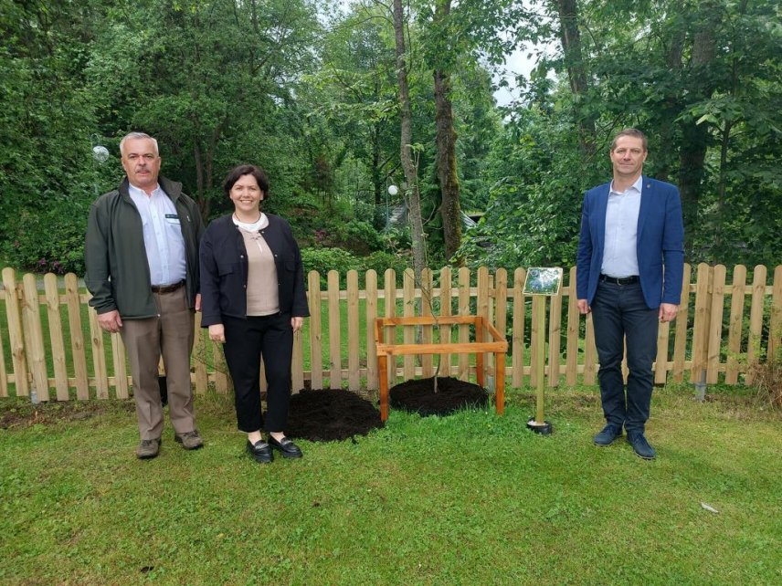 uroczyste zasadzenie drzewa jabłoni