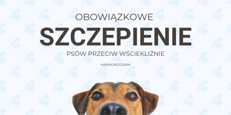 Wścieklizna_2025