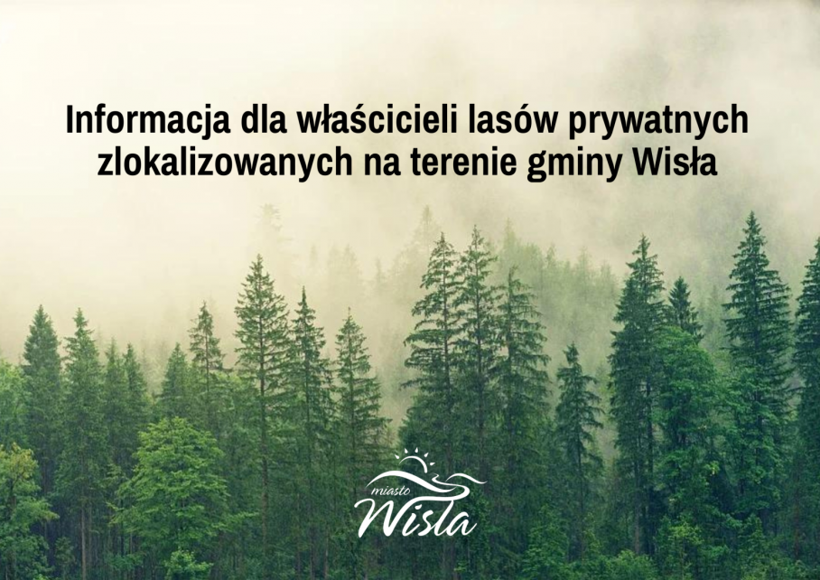Grafika
