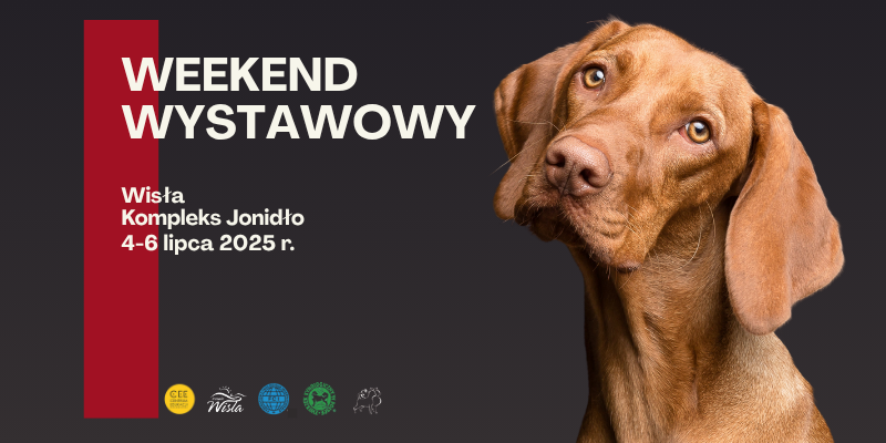 Wystawa psów rasowych