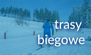 Banner - trasy biegowe